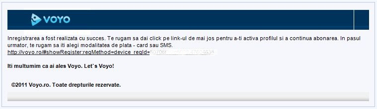voyo.JPG