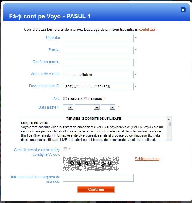 voyo2.JPG