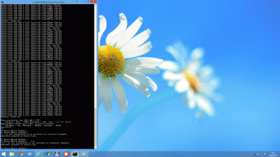 ping tv ip.gif